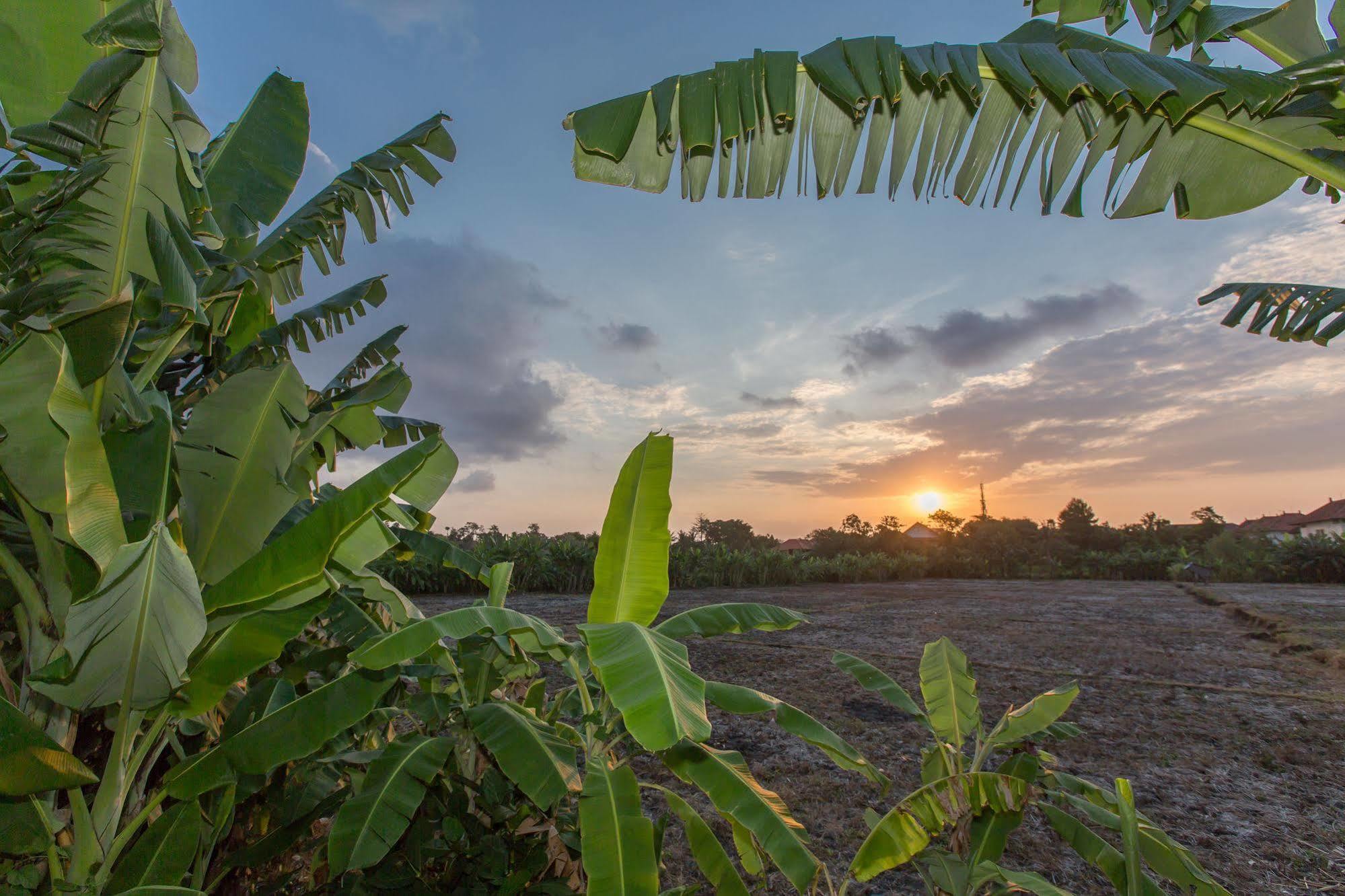 Gajah Villas Bali By Nagisa Bali เซมินยัค ภายนอก รูปภาพ